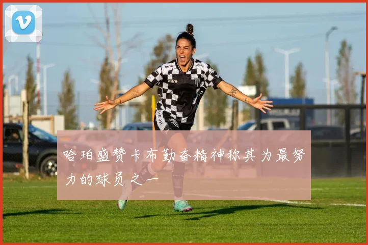 哈珀盛赞卡布勤奋精神称其为最努力的球员之一