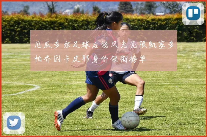 厄瓜多尔足球后场风光无限凯塞多帕乔因卡皮耶身价领衔榜单