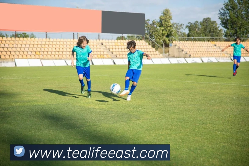 App Interface Preview