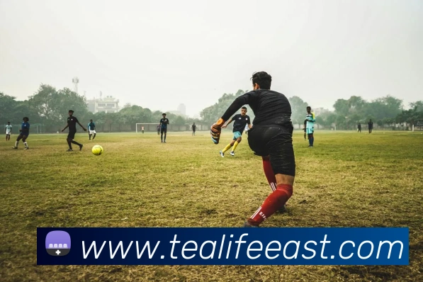 数据防护可视化